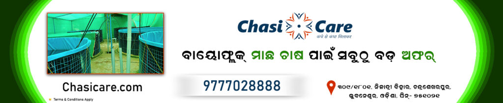 Chasicare Biofloc in Odisha